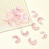 20Pcs Gradient Color Handmade Lampwork Beads LAMP-FS0001-17-7