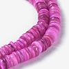 Natural Freshwater Shell Beads Strands BSHE-I016-04D-3