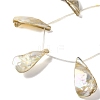 Electroplated Natural Freshwater Shell Beads Strands BSHE-S304-02-3