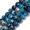 Natural Banded Agate(Dyed & Heated) Beads Strands G-C171-D01-01-2