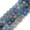 Natural Blue Aventurine Beads Strands G-E571-A10-04-1