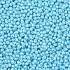 6/0 Glass Seed Beads SEED-L011-08A-13-3