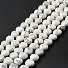 Natural Howlite Beads Strands G-B022-09B-3