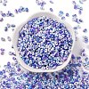 Baking Paint Glass Seed Beads SEED-C003-01D-2