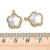 Natural Freshwater Shell Pendants STAS-G397-12G-01-3