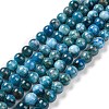 Natural Apatite Beads Strands G-S333-8mm-031A-1