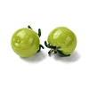Imitation Vegetable Resin Pendants RESI-K033-03B-02-2