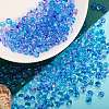 45G Transparent Baking Paint Glass Seed Beads SEED-SZ0001-028H-3