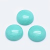 Natural & Synthetic Mixed Stone Cabochons G-G760-B02-2