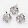 Brass Micro Pave Cubic Zirconia Pendants ZIRC-A009-070P-1