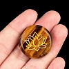 Symbol Natural Tiger Eye Flat Round Palm Stones PW-WGE396D-03-1