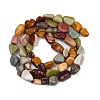 Natural Alashan Agate Beads Strands G-Q060-D19-02-3