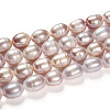Natural Cultured Freshwater Pearl Beads Strands LS-PEAR-R064-16-5
