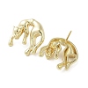 Rack Plating Brass Stud Earring EJEW-C081-26G-1