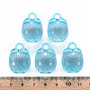 Autumn Theme Transparent Acrylic Pendants LS-TACR-T024-04B-946-5