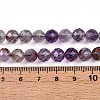 Natural Purple Lodolite Quartz/Purple Phantom Quartz Beads Strands G-T140-21B-5