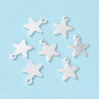 304 Stainless Steel Charms STAS-L234-069S-1