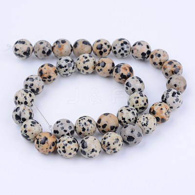 Natural Dalmatian Jasper Beads Strands X-G-Q462-10mm-30-1