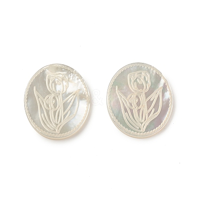 Natural Sea Shell Cabochons SSHEL-T012-14-1