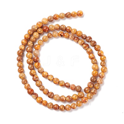 Natural Maifanite/Maifan Stone Beads Strands G-P451-01C-C-1