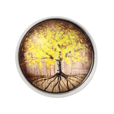 Round Glass Brooches JEWB-A022-02E-1