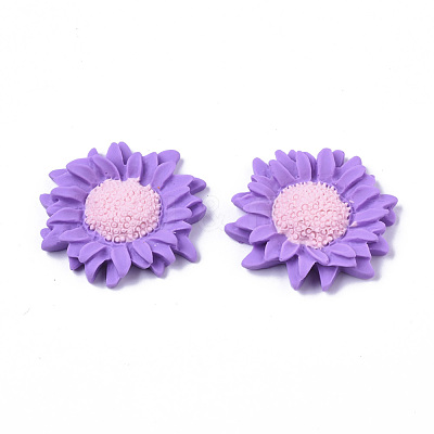 Opaque Resin Cabochons CRES-T022-17C-1