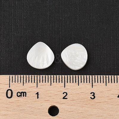 Natural Freshwater Shell Beads SHER-R100-04A-1
