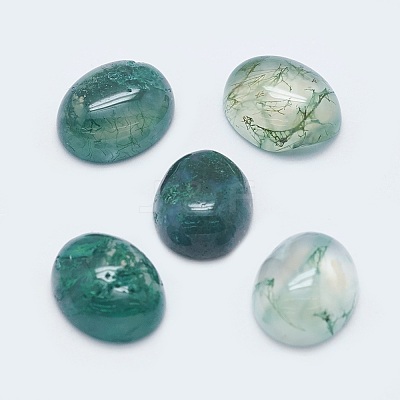 Natural Moss Agate Cabochons G-G759-Z12-1