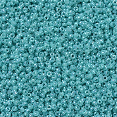 MIYUKI Round Rocailles Beads SEED-G007-RR0485-1