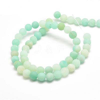 Natural Amazonite Bead Strands G-G684-03-10mm-1