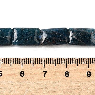 Natural Apatite Beads Strands G-Q026-B01-01-1