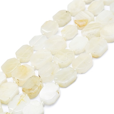 Natural White Moonstone Beads Strands G-K245-K01-01-1