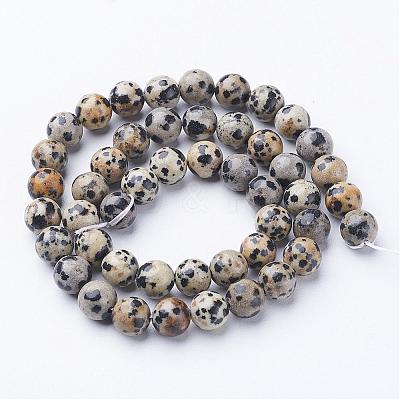 Natural Dalmatian Jasper Beads Strands GSR004-1