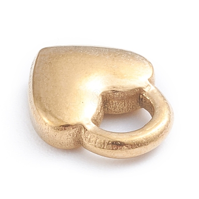 Ion Plating(IP) 304 Stainless Steel Charms STAS-I148-04G-1