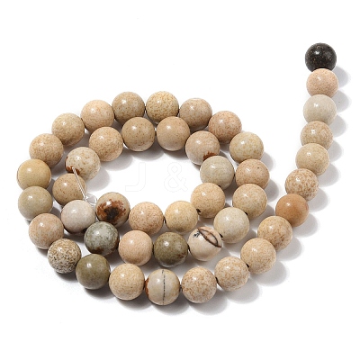 Natural Picture Jasper Beads Strands G-G184-A03-01-1
