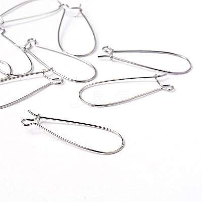 Brass Hoop Earring Wires Hook Earring Making Findings X-EC221-1