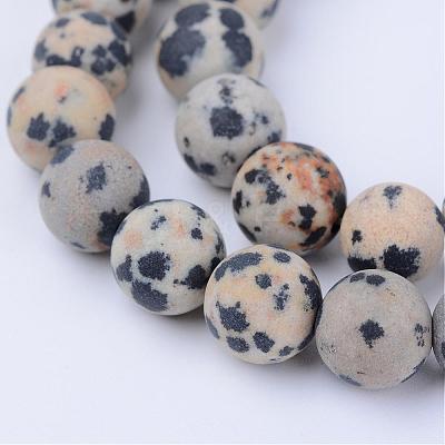 Natural Dalmatian Jasper Beads Strands G-Q462-10mm-05-1