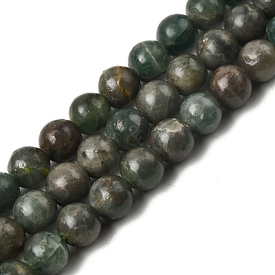 Natural Green Apatite Beads Strands G-K350-C04-8mm-1