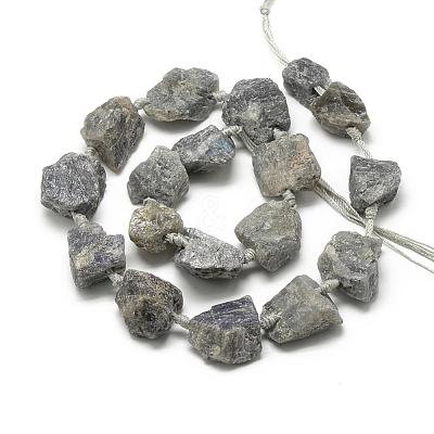 Natural Labradorite Beads Strands G-R421-09-1