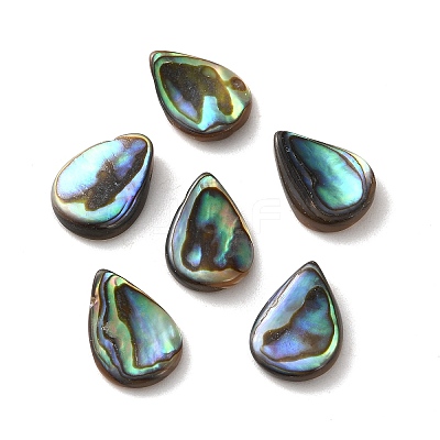 Natural Paua Shell Beads SSHEL-F305-02A-1