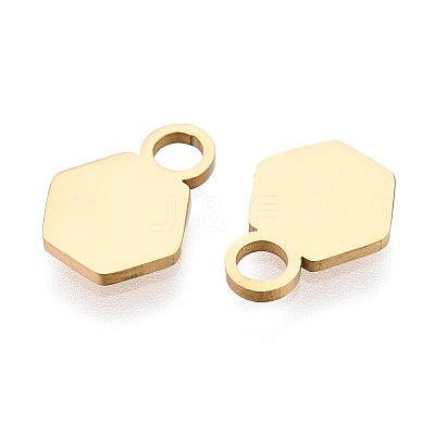 201 Stainless Steel Charms STAS-T070-13G-1