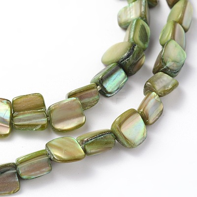 Shell Beads Strands PBB001-M-1