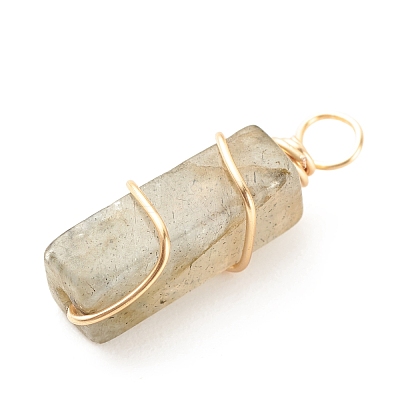 Natural Labradorite Pendants PALLOY-JF01581-01-1