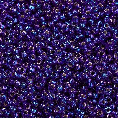MIYUKI Round Rocailles Beads X-SEED-G009-RR1020-1