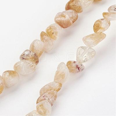 Natural Citrine Bead Strands G-G950-S-07-1