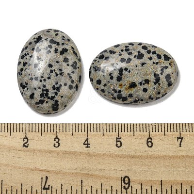 Natural Dalmatian Jasper Cabochons G-C115-01B-10-1