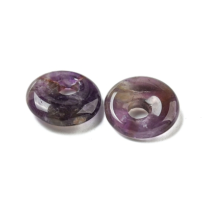 Natural Amethyst Donut/Pi Disc Charms G-G142-02L-1