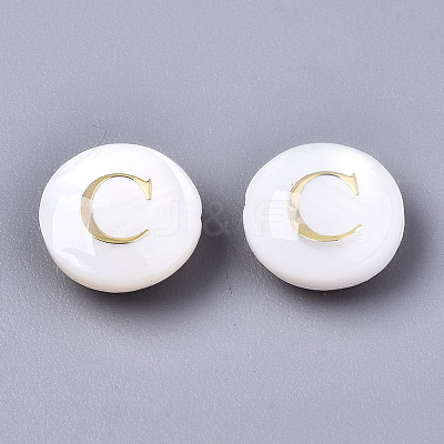 Natural Freshwater Shell Beads SHEL-S266-12C-1