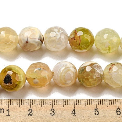 Faceted Natural Fire Crackle Agate Beads Strands X-G-F447-12mm-H01-1