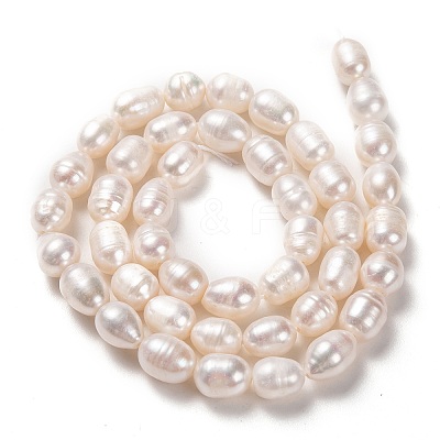 Natural Cultured Freshwater Pearl Beads Strands PEAR-L033-73-01-1